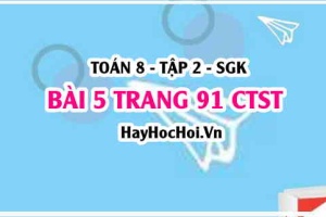 Bài 5 trang 91 Toán 8 Tập 2 Chân trời sáng tạo
